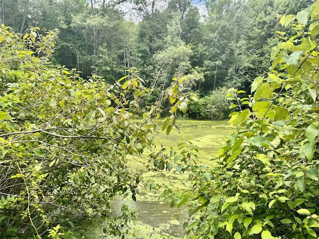 64 Homestead Ln, Otisville, NY 10963 - photo 19