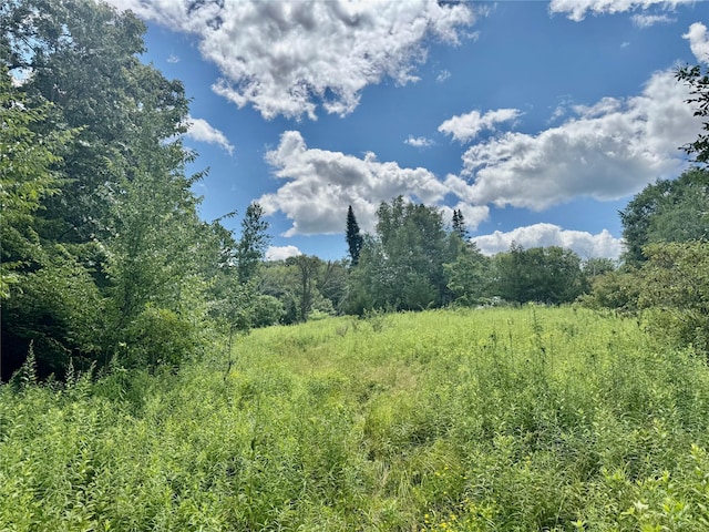64 Homestead Ln, Otisville, NY 10963 - photo 20
