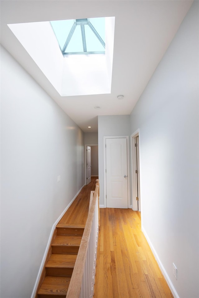 68-48 78th St, Flushing, NY 11379 - photo 16