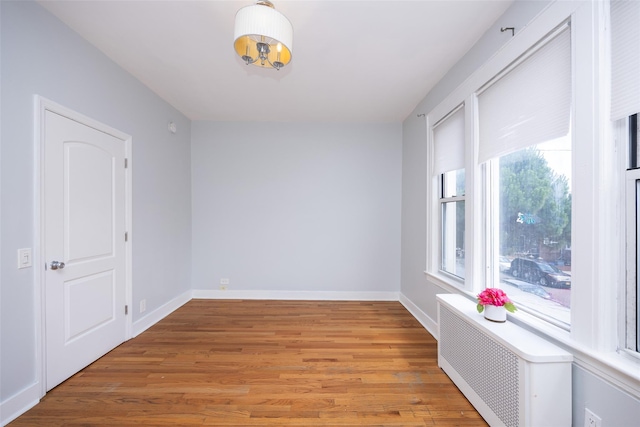 68-48 78th St, Flushing, NY 11379 - photo 17