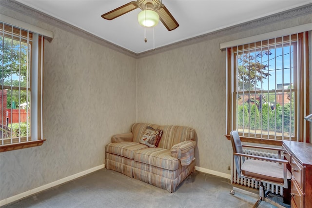 142 Kamda Blvd, New Hyde Park, NY 11040 - photo 10