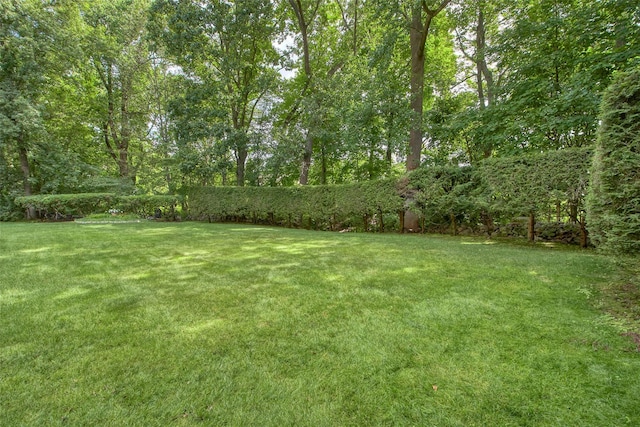 13 Colonial Ln, Valhalla, NY 10595 - photo 4