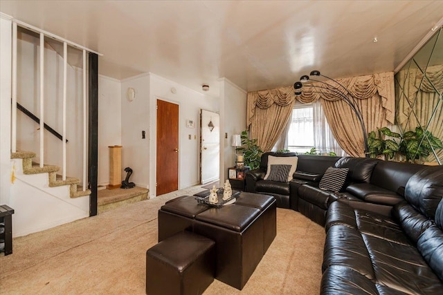 3343 Tiemann Ave, Bronx, NY 10469 - photo 5