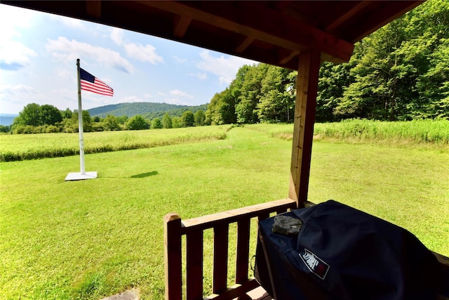 4238 Baxter Mountain Rd, Roscoe, NY 13755 - photo 5