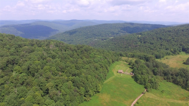 4238 Baxter Mountain Rd, Roscoe, NY 13755 - photo 12