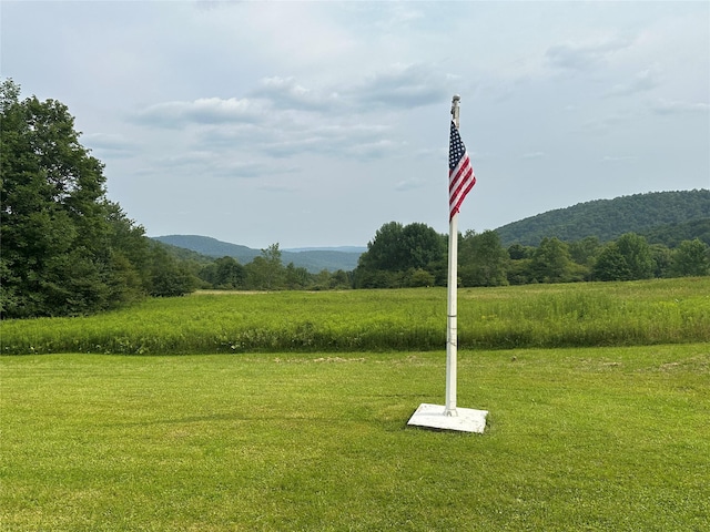 4238 Baxter Mountain Rd, Roscoe, NY 13755 - photo 15