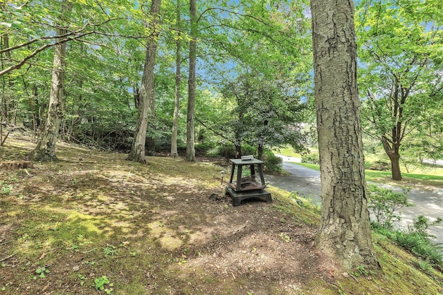 3 Gilman Ln, Cortlandt Manor, NY 10567 - photo 42