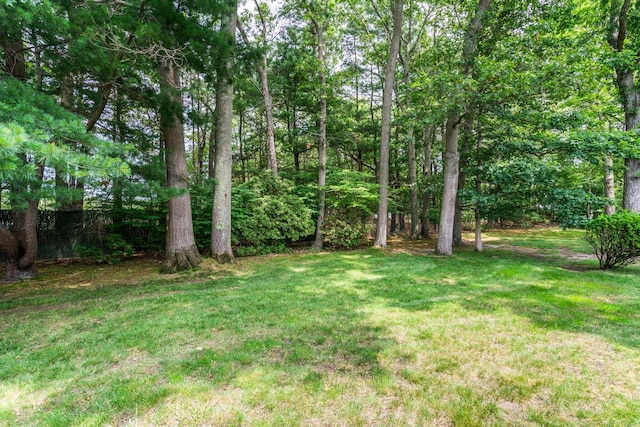 186 Canterbury Dr, Ridge, NY 11961 - photo 20