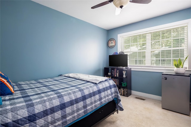 17 Pidgeon Ct, Manorville, NY 11949 - photo 12