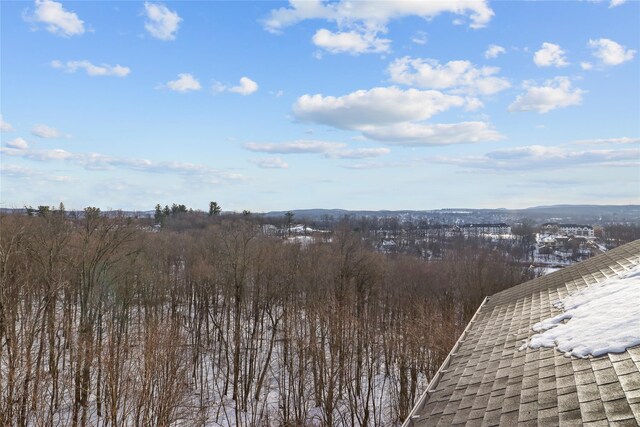 14 Hamburg Way Unit 303, Monroe, NY 10950 - photo 29