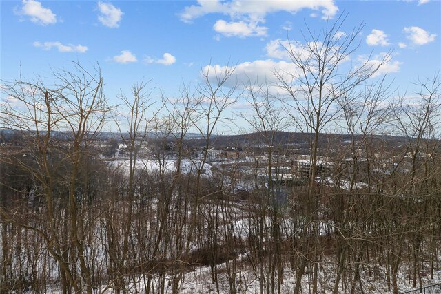 14 Hamburg Way Unit 303, Monroe, NY 10950 - photo 30