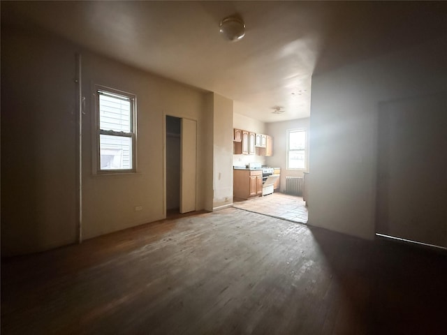 1129 E Tremont Ave, Bronx, NY 10460 - photo 3