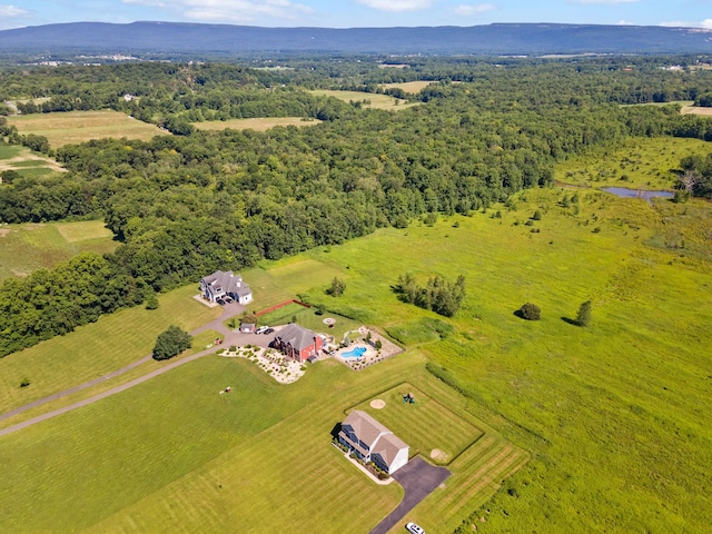 1572 State Route 52, Walden, NY 12586 - photo 42
