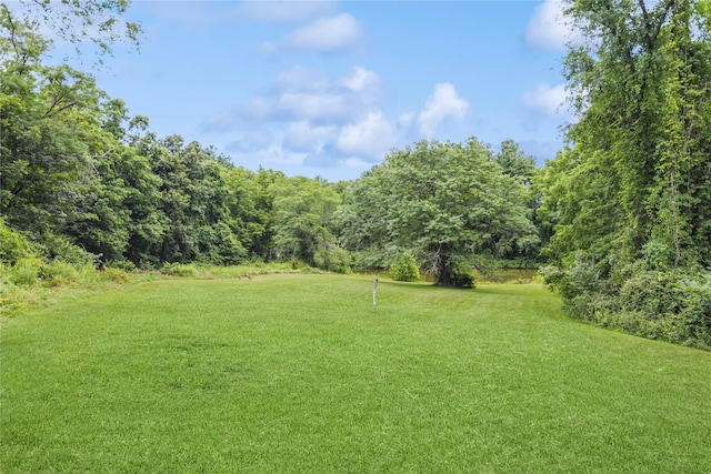 93 Widmer Rd, Wappingers Falls, NY 12590 - photo 38