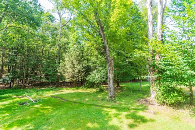 17 W Thompson Pl Unit 103Pl, Bethel, NY 12778 - photo 11