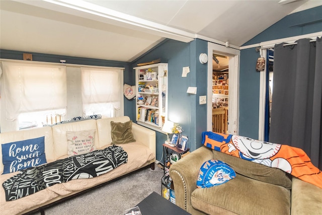 17 W Thompson Pl Unit 103Pl, Bethel, NY 12778 - photo 19