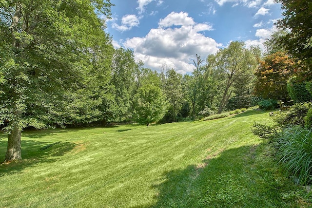17 Byram Meadows Rd, Chappaqua, NY 10514 - photo 41