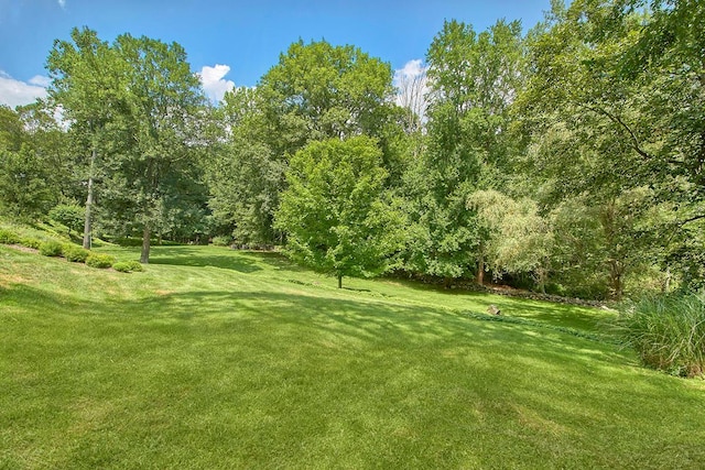 17 Byram Meadows Rd, Chappaqua, NY 10514 - photo 42