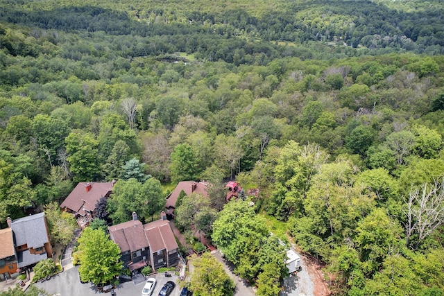 51 Meadowlark Ln, Woodridge, NY 12789 - photo 6