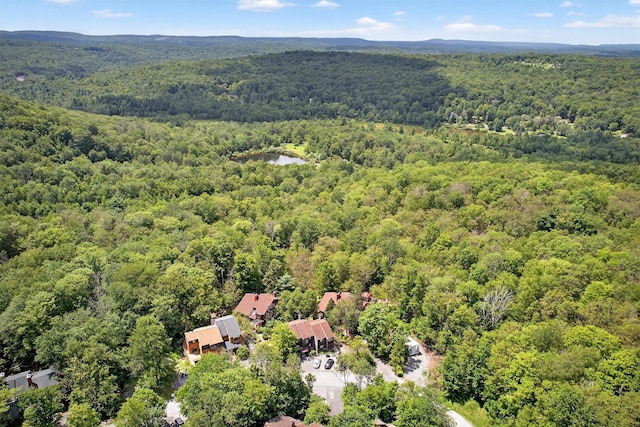 51 Meadowlark Ln, Woodridge, NY 12789 - photo 7