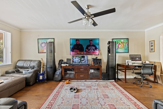 2129 Muliner Ave, Bronx, NY 10462 - photo 5
