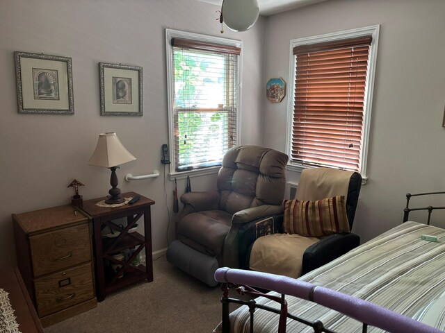 160 Green St, Valley Stream, NY 11580 - photo 15