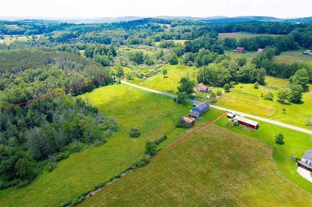 33 Eagin Rd, Livingston Manor, NY 12758 - photo 2