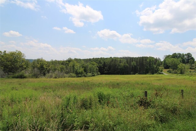 33 Eagin Rd, Livingston Manor, NY 12758 - photo 8
