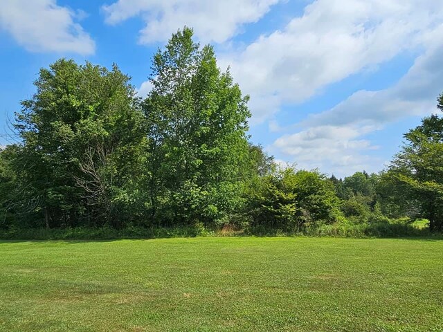 174 Fulton Hill Rd, Callicoon, NY 12723 - photo 18