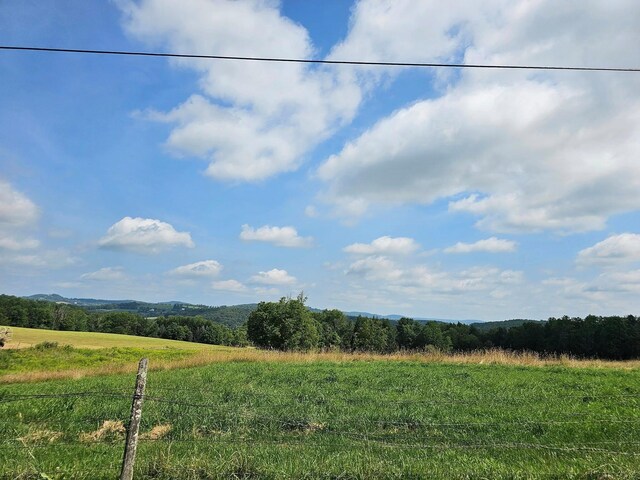 174 Fulton Hill Rd, Callicoon, NY 12723 - photo 20
