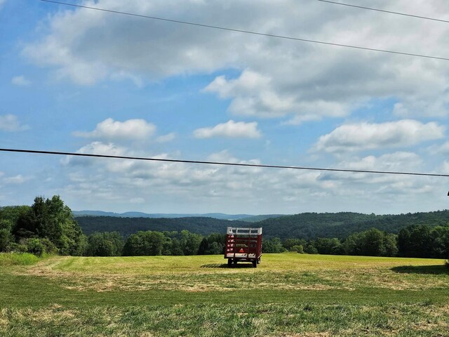174 Fulton Hill Rd, Callicoon, NY 12723 - photo 21