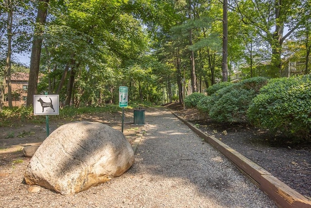 267 Treetop Cir Unit 267, Nanuet, NY 10954 - photo 33