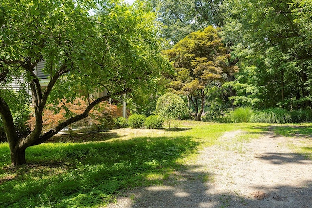 83-85 Old Post Rd, Staatsburg, NY 12580 - photo 34