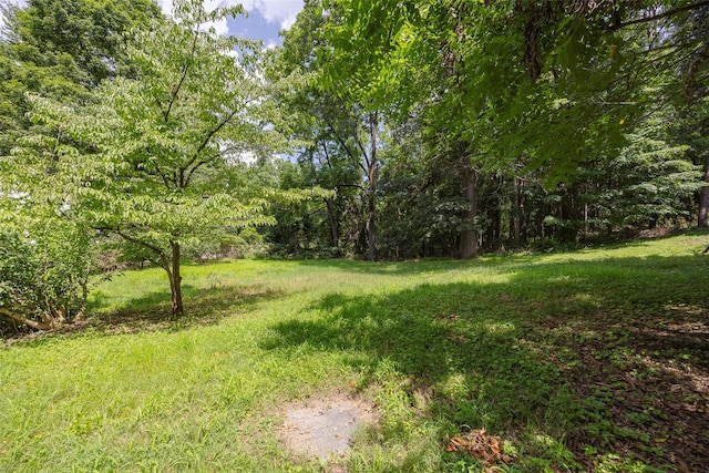 83-85 Old Post Rd, Staatsburg, NY 12580 - photo 35