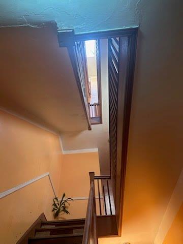 295 Schaefer St, Brooklyn, NY 11237 - photo 4