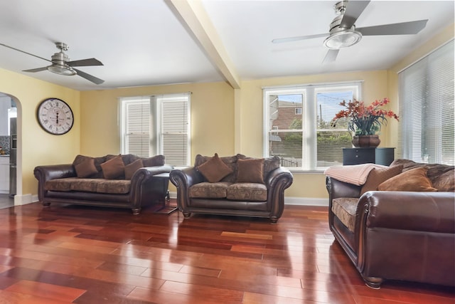 210 Buttrick Ave, Bronx, NY 10465 - photo 4