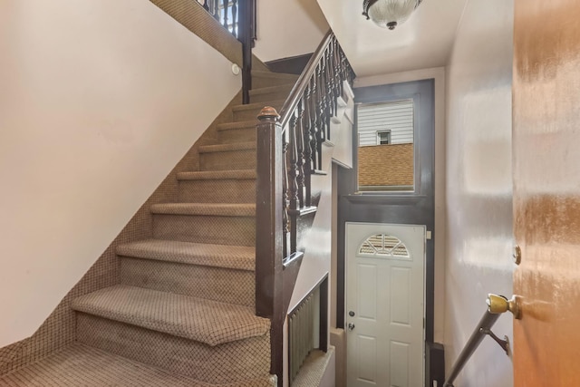 210 Buttrick Ave, Bronx, NY 10465 - photo 15