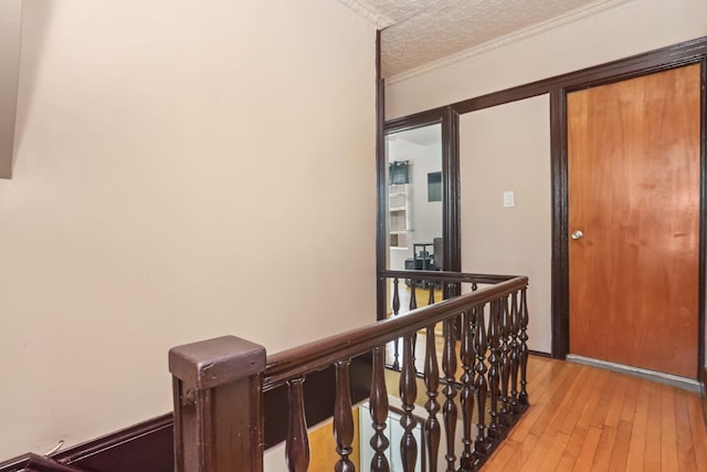 210 Buttrick Ave, Bronx, NY 10465 - photo 21