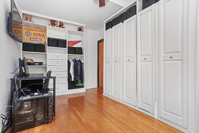210 Buttrick Ave, Bronx, NY 10465 - photo 26