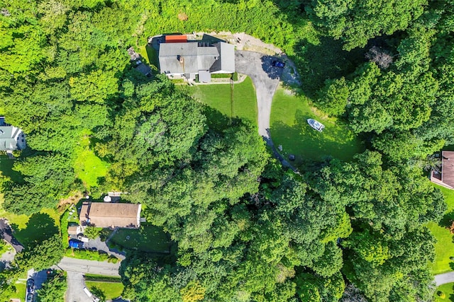 75 Mountain Ln, Beacon, NY 12508 - photo 3
