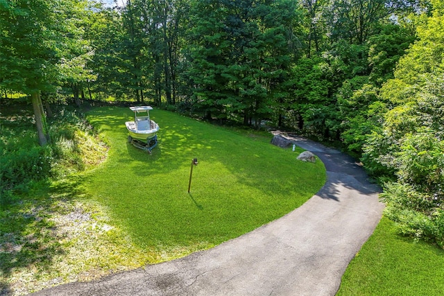 75 Mountain Ln, Beacon, NY 12508 - photo 4