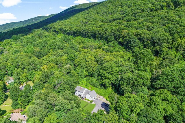 75 Mountain Ln, Beacon, NY 12508 - photo 19