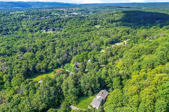 75 Mountain Ln, Beacon, NY 12508 - photo 20