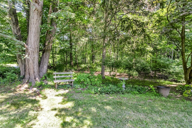 14 Griffen Rd, Brewster, NY 10509 - photo 21