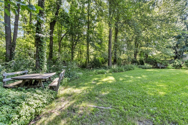 14 Griffen Rd, Brewster, NY 10509 - photo 25