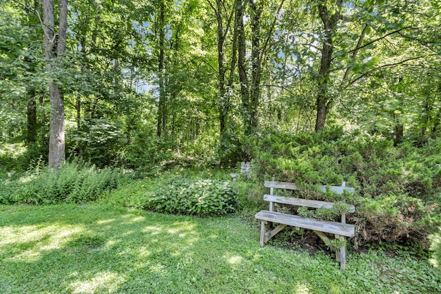 14 Griffen Rd, Brewster, NY 10509 - photo 26