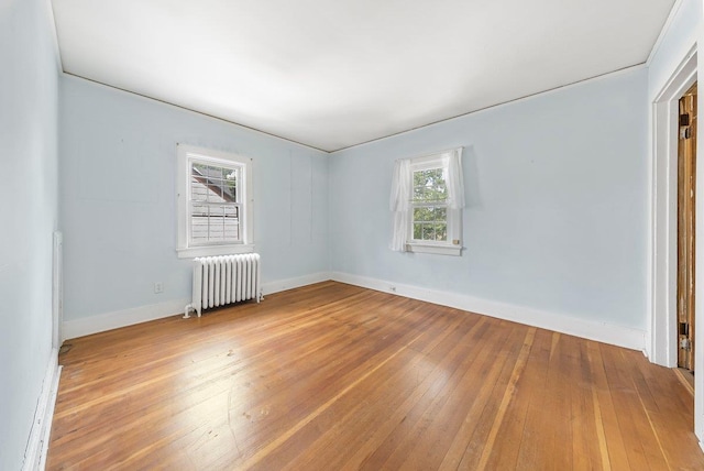 115 Mount Joy Pl, New Rochelle, NY 10801 - photo 19