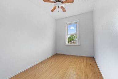 930 Morris Park Ave, Bronx, NY 10462 - photo 14
