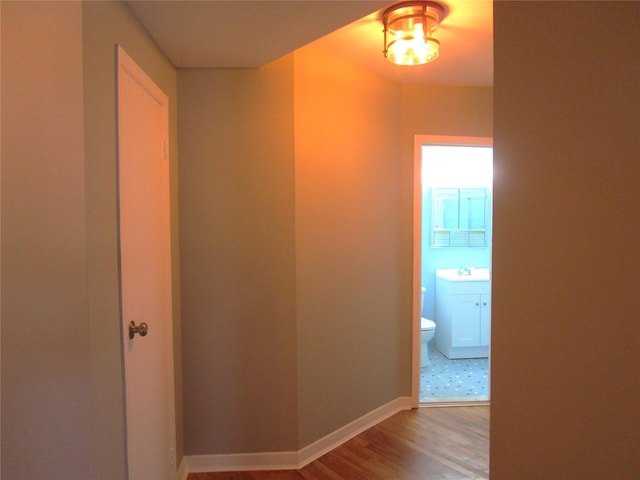 20 Daley Pl Unit 225, Lynbrook, NY 11563 - photo 16