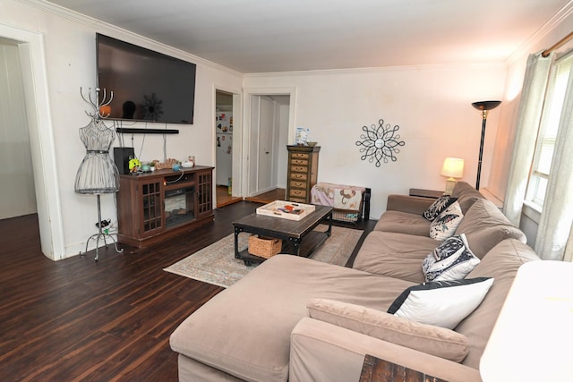 17 Hammond Rd, Glen Cove, NY 11542 - photo 8